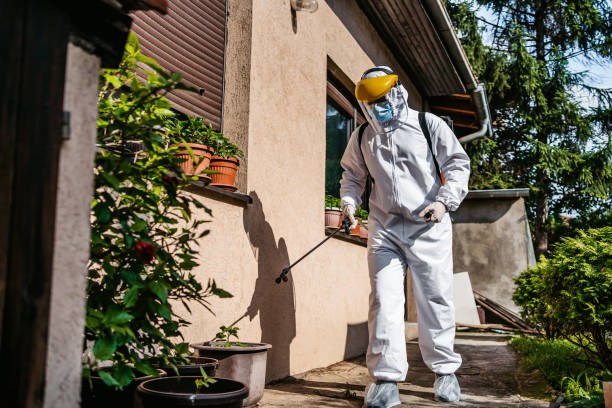 Flea Control Services in Milford, DE