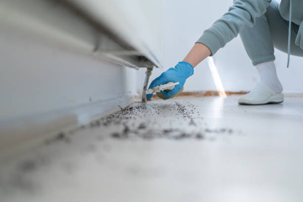 Pest Control Cost in Milford, DE